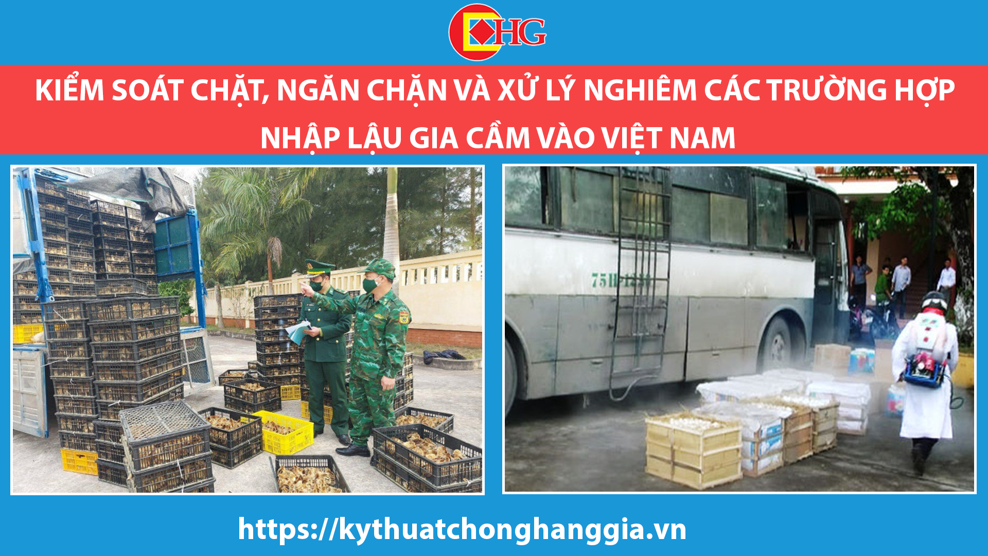 Kiểm soát chặt, ngăn chặn và xử lý nghiêm các trường hợp nhập lậu gia cầm vào Việt Nam